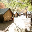 소백산 남천야영장1 이미지