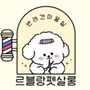 르블랑펫살롱 네이버블로그