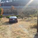 진구농장 이미지