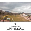 제주소요 이미지