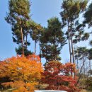 여주-0700 이미지