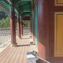 윤자운 사우 이미지