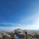 - 12월초, 발왕산(1,459m) 설경 그림들! 이미지