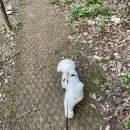 스테이 지천 이미지