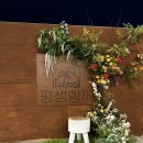 나사렛새꿈학교 | [대형애견카페 포토존]천안조화 플랜테리어 카페 포토존 천안꽃집 '하임'에서 예쁘게 시공해드렸습니다 :)
