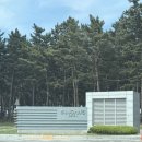 세인트필립동물병원 | 강릉여행 세인트존스호텔 머슬비치 런치 오션뷰