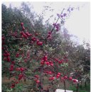 박가네농장 이미지