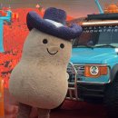 (주)제니클 이미지