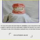 치아살리기 드림365치과의원 | 치아살리기드림365치과의원 진주치과