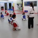 경희대 에이스태권도 이미지