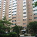 고불로 464 이미지