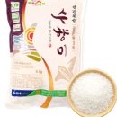 올바른푸드