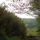 에덴산장 이미지