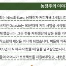 세인트빈 노은점 네이버블로그