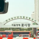 세방플로라
