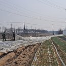 내고2농로 이미지