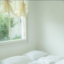 스테이마레 이미지