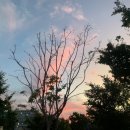 우리목장 이미지