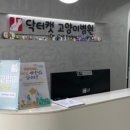 닥터캣 고양이병원 이미지