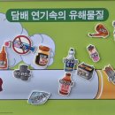 매현초 이미지
