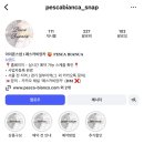 [W07] 10만원 대 아이폰 스냅 &#39;페스카비앙카&#39; 계약 후기💍 (+ 추천인 코드 O)
