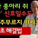 "홍하사의 잡다한 이야기"---(1597) "건강 이야기"---(386) (종아리 쥐) &amp; (그림이 그려진다) 이미지