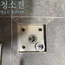클린카우 이미지