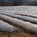 청주왕겨 이미지