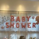 토실이네 애견 이미지