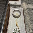 갈비이야기 | 김해 내외동 우대갈비 맛집 후기 – 본집갈비이야기