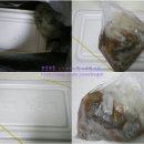 삼양정육점 이미지