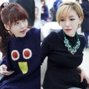 미쓰가인