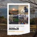 충효농장 | [3박4일 🇹🇼대만 타이중 여행 #11]아시아의 알프스라 불리는 멋진 양떼농장 칭칭농장 후기! 투어추천!!