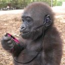 클린어스 이미지