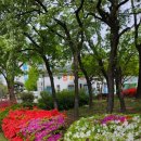 인천교자동차매매단지 이미지