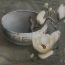 서양화가 박철환 "목련 (Magnolia)" 작품 모음 이미지
