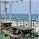 고성민박 | 송지호해변민박 강원도 고성의 숨은 보석, 서프그라운드민박 후기