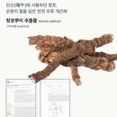 지루성 두피염, 샴푸가 효과없었던 이유