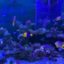 오천수족관 이미지