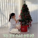경주 감성 독채 펜션 추천:) 숲담 B동 내돈내산 솔직후기