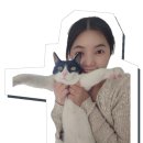 카카몽 애견미용실 | 부산 서면 미용실 프로헤어에서 볼륨매직하고 왔어요