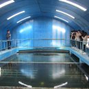 신한대학교 이미지