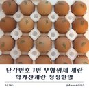 방목농장 | 친환경 계란 추천 난각번호 1번 자유방목 유정란 후기
