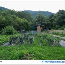 의병장 고광순순절비 | 구례여행 - 연곡사 국보 순례길