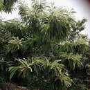 아버님농장 이미지