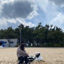 흰둥이분식