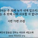 새순교회앞 이미지