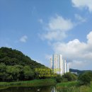 윤하공인중개사사무소 이미지