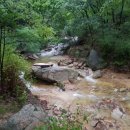 가든모터스 이미지