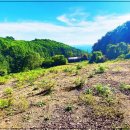 무릉도원 이미지